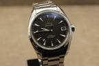Omega Seamaster Aquaterra